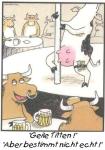 strip.jpg