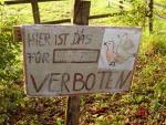voegeln_1.jpg