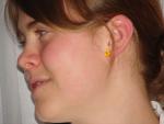 20060321dsc01550.jpg