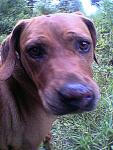 Anna im Garten