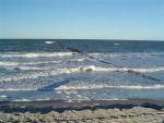 DSC02155.jpg