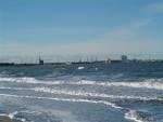 DSC02165.jpg