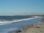 DSC02167.jpg