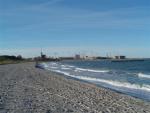 DSC02169.jpg