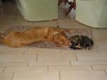 Anna & Mietzie
