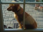 dsc02130.jpg