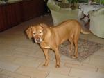 dsc02249.jpg