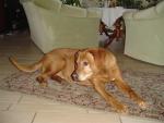 dsc02250.jpg