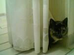 Verstecken